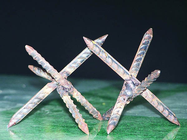 大連鐵蒺藜圖片3 大連鐵蒺藜圖片3