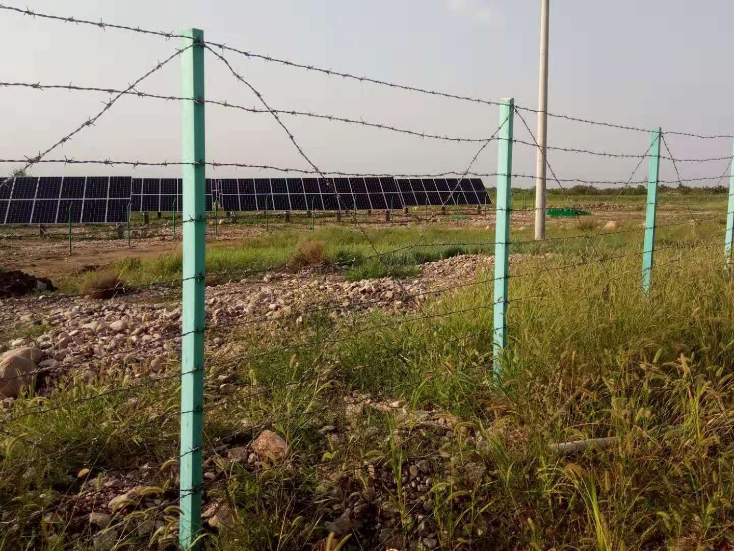 昆明刺繩護(hù)欄網(wǎng)圖片4 昆明刺繩護(hù)欄網(wǎng)圖片4