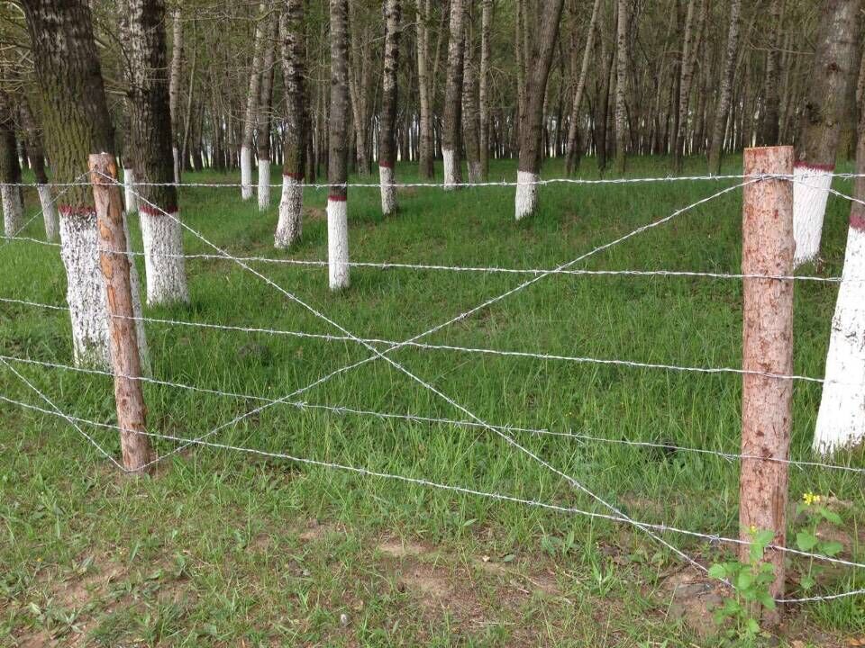 昆明刺繩護(hù)欄網(wǎng)圖片5 昆明刺繩護(hù)欄網(wǎng)圖片5