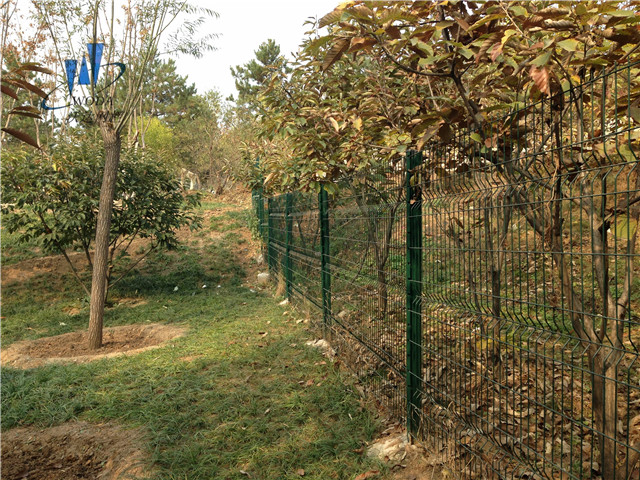 海寧小區隔離網圖片4 海寧小區隔離網圖片4